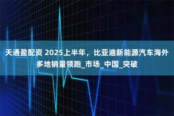 天通盈配资 2025上半年，比亚迪新能源汽车海外多地销量领跑_市场_中国_突破